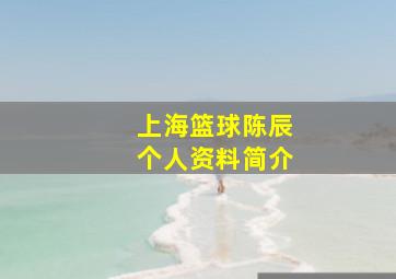 上海篮球陈辰个人资料简介