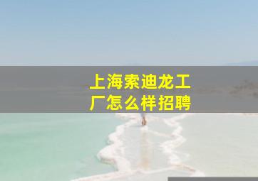 上海索迪龙工厂怎么样招聘