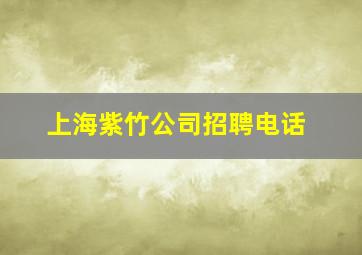 上海紫竹公司招聘电话