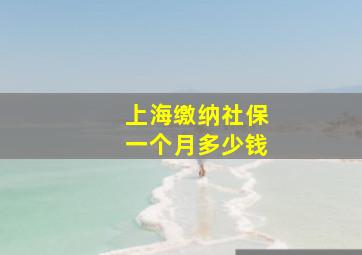 上海缴纳社保一个月多少钱