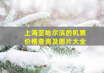 上海至哈尔滨的机票价格查询及图片大全