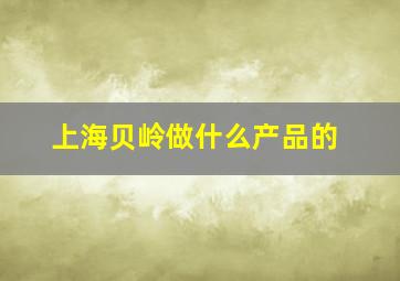 上海贝岭做什么产品的