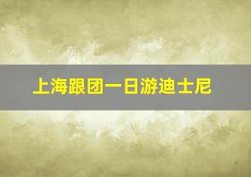 上海跟团一日游迪士尼