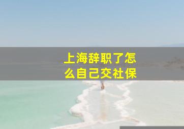 上海辞职了怎么自己交社保