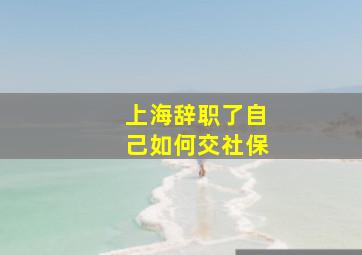 上海辞职了自己如何交社保