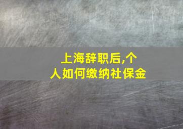 上海辞职后,个人如何缴纳社保金