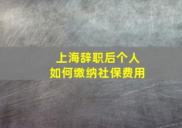 上海辞职后个人如何缴纳社保费用