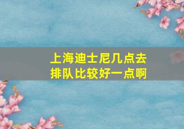 上海迪士尼几点去排队比较好一点啊