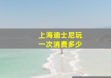 上海迪士尼玩一次消费多少