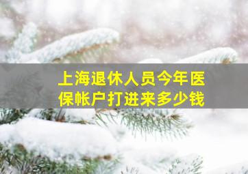 上海退休人员今年医保帐户打进来多少钱