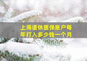 上海退休医保账户每年打入多少钱一个月