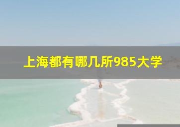 上海都有哪几所985大学