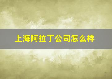 上海阿拉丁公司怎么样