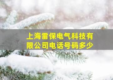 上海雷保电气科技有限公司电话号码多少