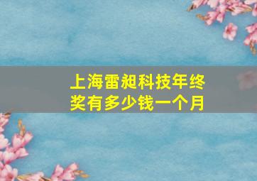 上海雷昶科技年终奖有多少钱一个月