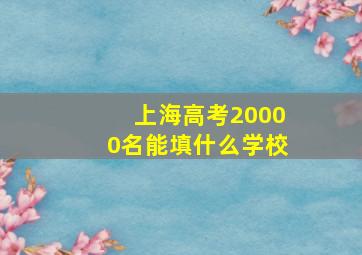 上海高考20000名能填什么学校