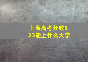 上海高考分数523能上什么大学