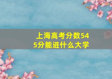 上海高考分数545分能进什么大学