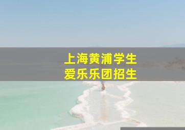 上海黄浦学生爱乐乐团招生