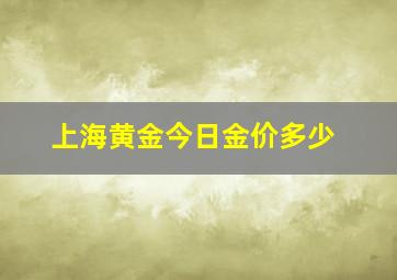 上海黄金今日金价多少