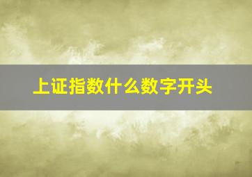 上证指数什么数字开头