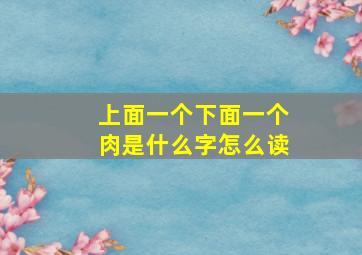 上面一个下面一个肉是什么字怎么读