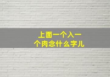 上面一个入一个肉念什么字儿