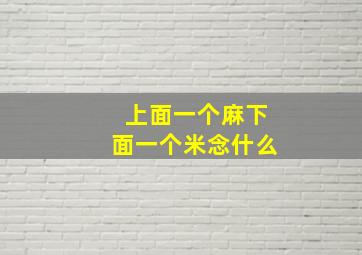 上面一个麻下面一个米念什么