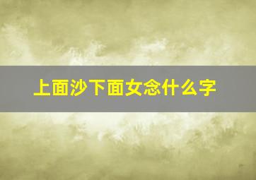 上面沙下面女念什么字