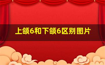 上颌6和下颌6区别图片