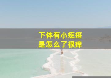 下体有小疙瘩是怎么了很痒