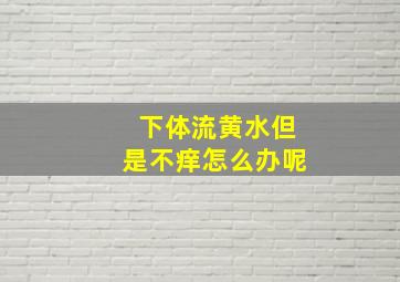 下体流黄水但是不痒怎么办呢