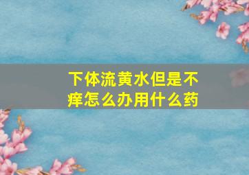 下体流黄水但是不痒怎么办用什么药