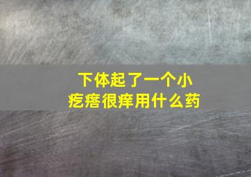 下体起了一个小疙瘩很痒用什么药