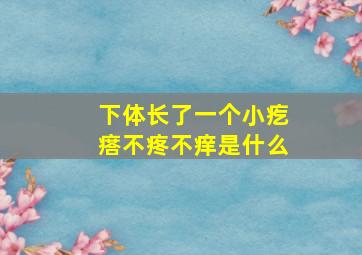 下体长了一个小疙瘩不疼不痒是什么