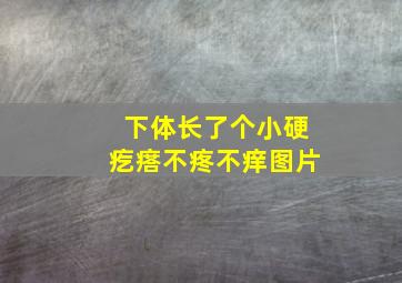 下体长了个小硬疙瘩不疼不痒图片