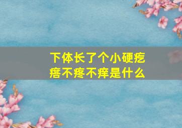 下体长了个小硬疙瘩不疼不痒是什么