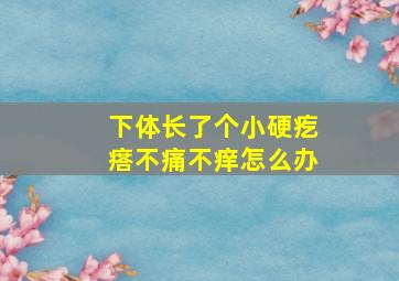 下体长了个小硬疙瘩不痛不痒怎么办