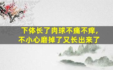 下体长了肉球不痛不痒,不小心磨掉了又长出来了