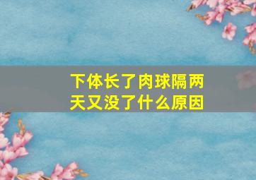 下体长了肉球隔两天又没了什么原因