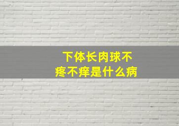 下体长肉球不疼不痒是什么病