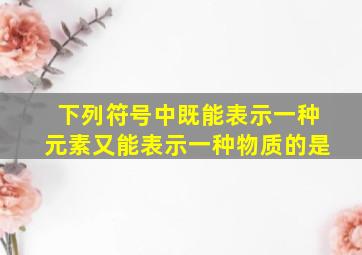 下列符号中既能表示一种元素又能表示一种物质的是