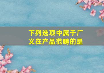 下列选项中属于广义在产品范畴的是