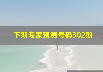 下期专家预测号码302期