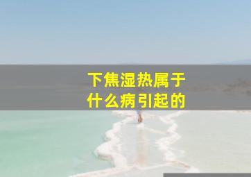 下焦湿热属于什么病引起的