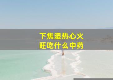 下焦湿热心火旺吃什么中药