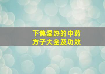 下焦湿热的中药方子大全及功效