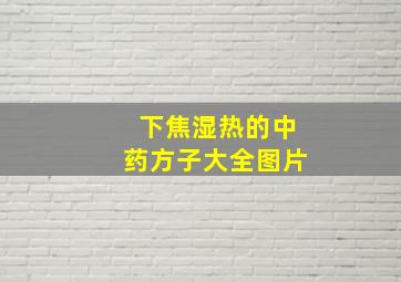 下焦湿热的中药方子大全图片