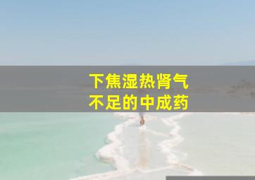 下焦湿热肾气不足的中成药