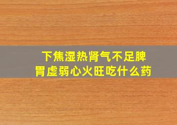 下焦湿热肾气不足脾胃虚弱心火旺吃什么药